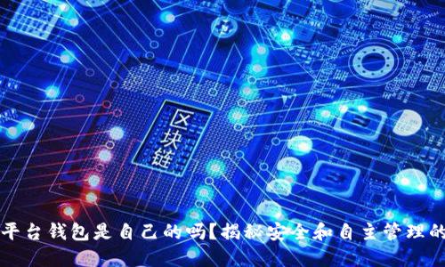 虚拟币平台钱包是自己的吗?揭秘安全和自主管理的重要性