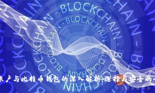 比特币账户与比特币钱包的深入解析：选择与安全的全面指南