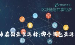 比特币存储最佳选择：哪个钱包最适合你？