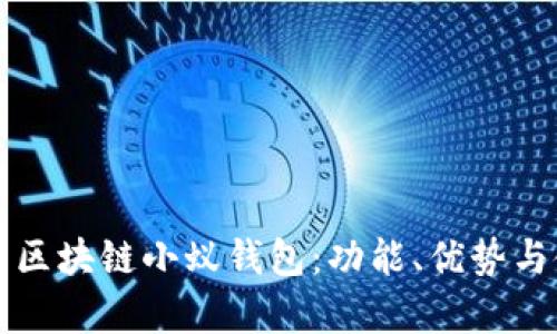 全面解析区块链小蚁钱包：功能、优势与使用指南