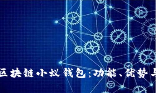 全面解析区块链小蚁钱包：功能、优势与使用指南