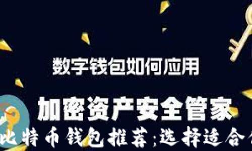 
2023年最佳比特币钱包推荐：选择适合你的钱包类型