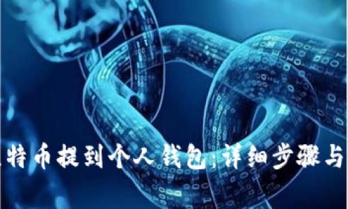如何将比特币提到个人钱包：详细步骤与注意事项
