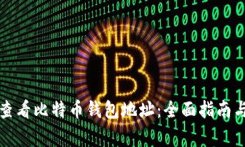 如何高效查看比特币钱包地址：全面指南与注意事项