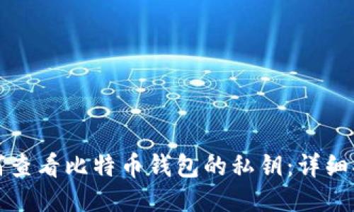 如何查看比特币钱包的私钥:详细指南