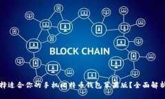 如何选择适合你的手机比特币钱包苹果版?全面