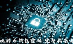 怎样找回比特币钱包密码:完整指南与解决方案