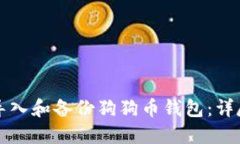 如何导入和备份狗狗币钱包:详尽指南