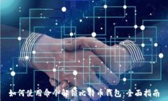 如何使用命令解锁比特币钱包:全面指南