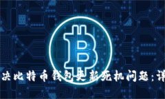 如何解决比特币钱包更新死机问题:详尽指南