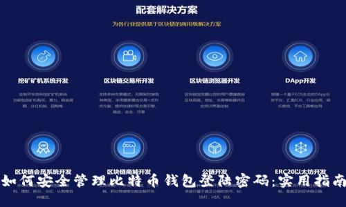 如何安全管理比特币钱包登陆密码：实用指南