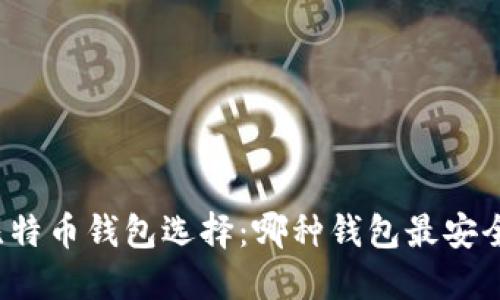 比特币钱包选择:哪种钱包最安全?