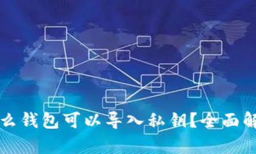 比特币什么钱包可以导入私钥?全面解析与推荐