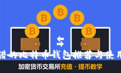 最靠谱的比特币钱包推荐与使用指南