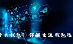 接收USDT用什么钱包? 详解主流钱包选择与使用指