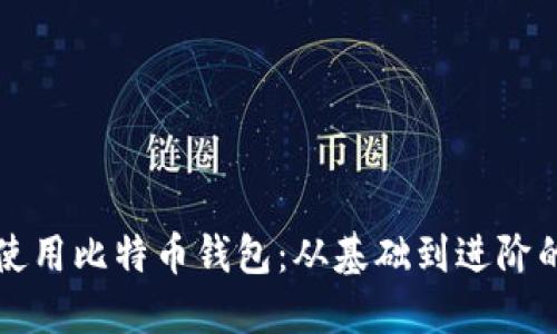如何正确使用比特币钱包：从基础到进阶的全面指南