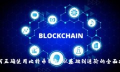 如何正确使用比特币钱包：从基础到进阶的全面