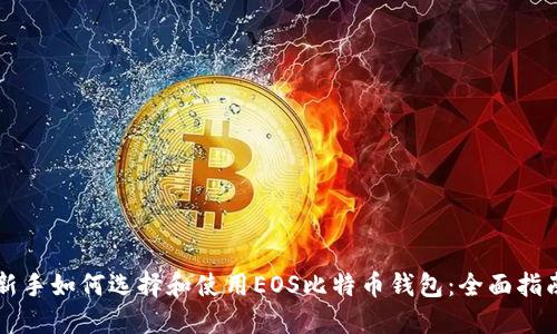 新手如何选择和使用EOS比特币钱包：全面指南