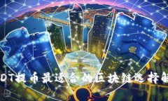 USDT提币最适合的区块链选择解析