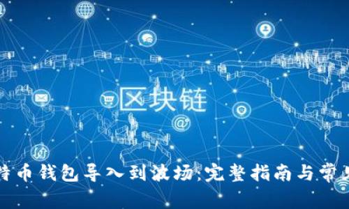 如何将比特币钱包导入到波场：完整指南与常见问题解答