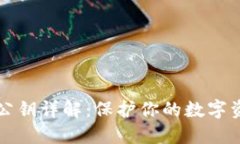 以太坊钱包公钥详解：保护你的数字资产的第一
