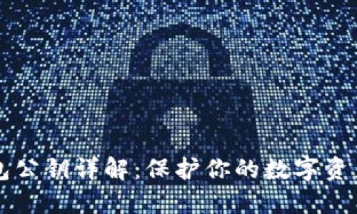 以太坊钱包公钥详解：保护你的数字资产的第一步