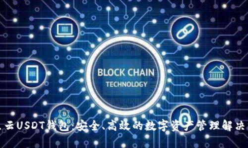 奇点云USDT钱包：安全、高效的数字资产管理解决方案