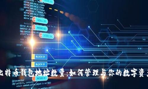 比特币钱包地址数量：如何管理与你的数字资产