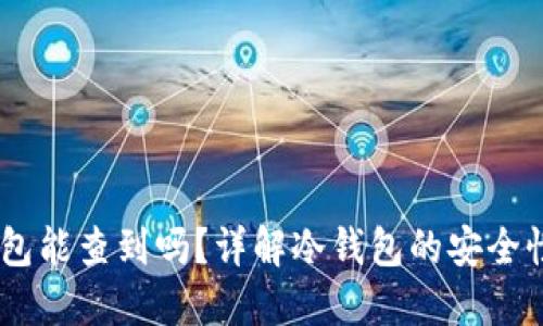 USDT冷钱包能查到吗？详解冷钱包的安全性与隐私性