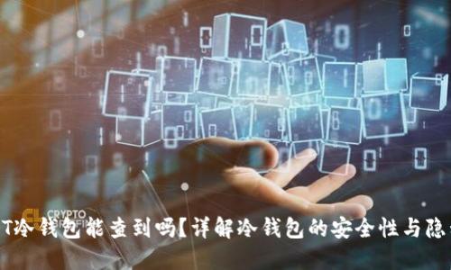 USDT冷钱包能查到吗？详解冷钱包的安全性与隐私性