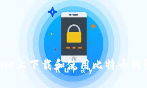 如何在iPhone上下载和使用比特币钱包：全面指南
