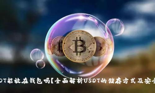USDT能放在钱包吗？全面解析USDT的储存方式及安全性