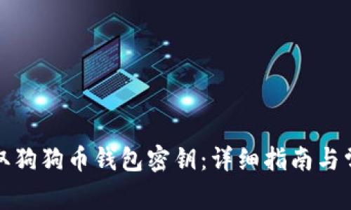 如何安全提取狗狗币钱包密钥：详细指南与常见问题解答