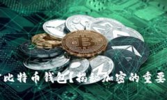 为什么要加密比特币钱包?揭秘加密的重要性与
