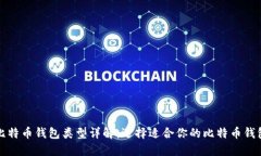 比特币钱包类型详解：选择适合你的比特币钱包