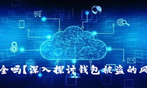 比特币钱包安全吗？深入探讨钱包被盗的风险与防护措施