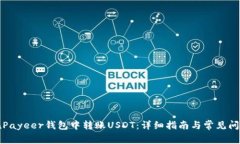 如何在Payeer钱包中转账USDT:详细指南与常见问题