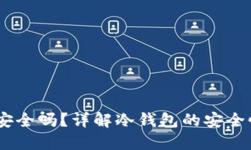 USDT冷钱包安全吗？详解冷钱包的安全性与使用技巧