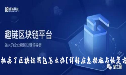 手机丢了区块链钱包怎么办？详解应急措施与恢复方式