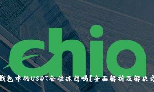 冷钱包中的USDT会被冻结吗？全面解析及解决方案