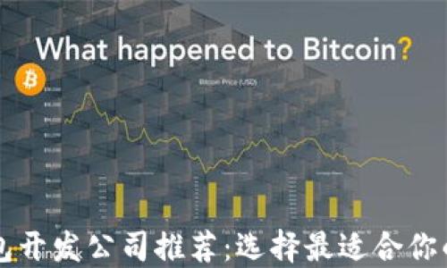 
区块链钱包开发公司推荐：选择最适合你的开发伙伴