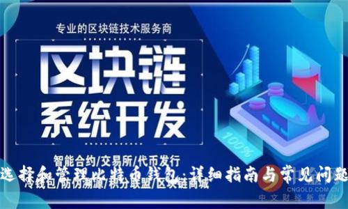 如何选择和管理比特币钱包：详细指南与常见问题解答