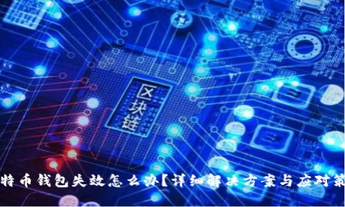 比特币钱包失效怎么办？详细解决方案与应对策略