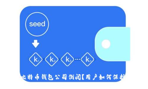 如何应对比特币钱包公司倒闭？用户如何保护数字资产？