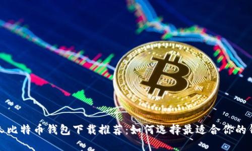 个人比特币钱包下载推荐：如何选择最适合你的钱包