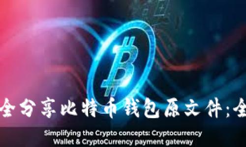 如何安全分享比特币钱包原文件：全面指南