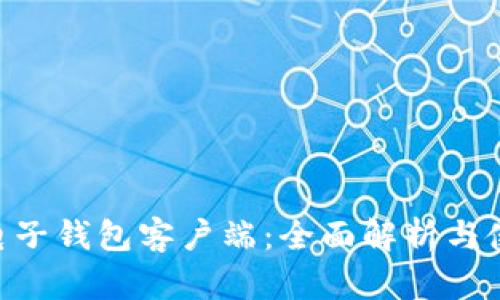 LEO币电子钱包客户端：全面解析与使用指南