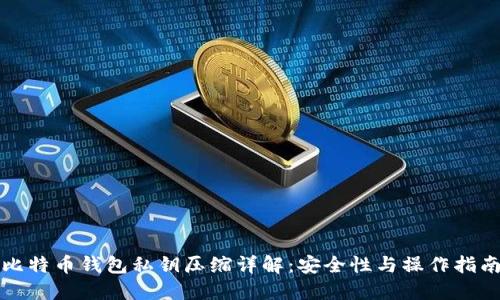 比特币钱包私钥压缩详解：安全性与操作指南
