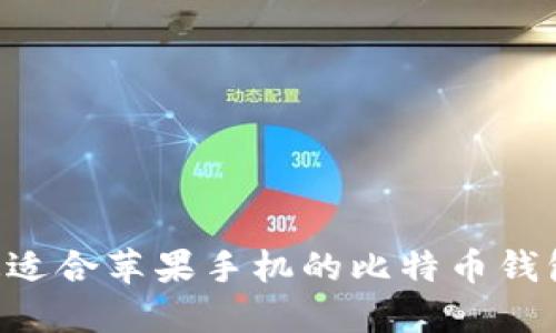 如何选择最适合苹果手机的比特币钱包：全面指南