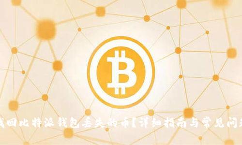 如何找回比特派钱包丢失的币？详细指南与常见问题解答